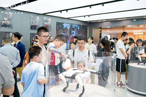 蔚藍科技發布具身智能產品矩陣，引領AI新紀元的信息技術咨詢服務革新